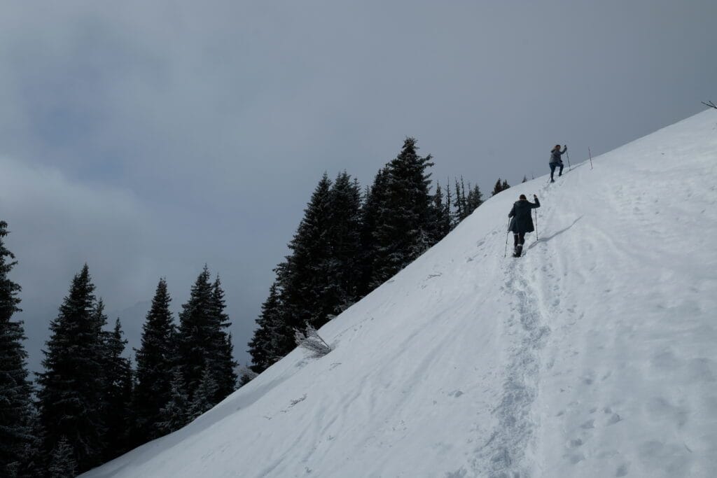 Das Bild zeigt zwei Pfadfinderinnen, die eine mit Schnee bedeckte Anhöhe erklimmen. Zu ihrer Linken geht es in ein Waldtobel hinunter, das von einigen schneepebuderten Tannen gesäumt ist.
