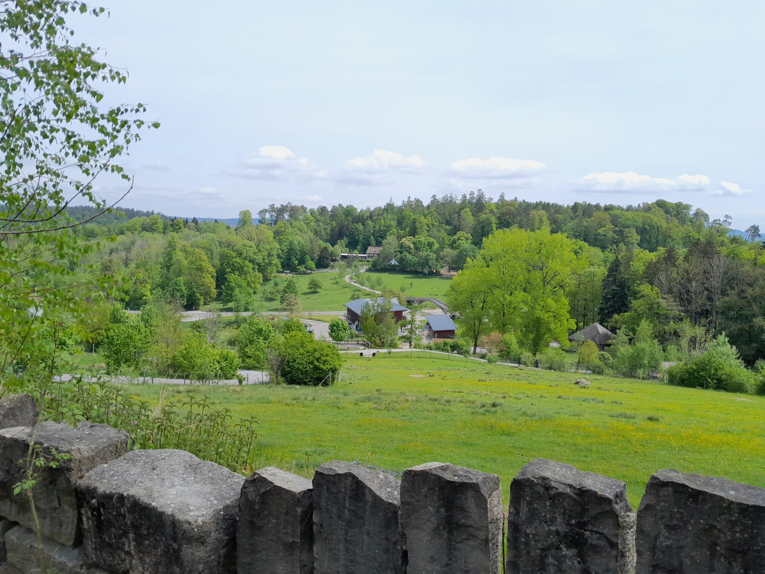 Mehr über den Artikel erfahren Besuch Wildnispark Langwies