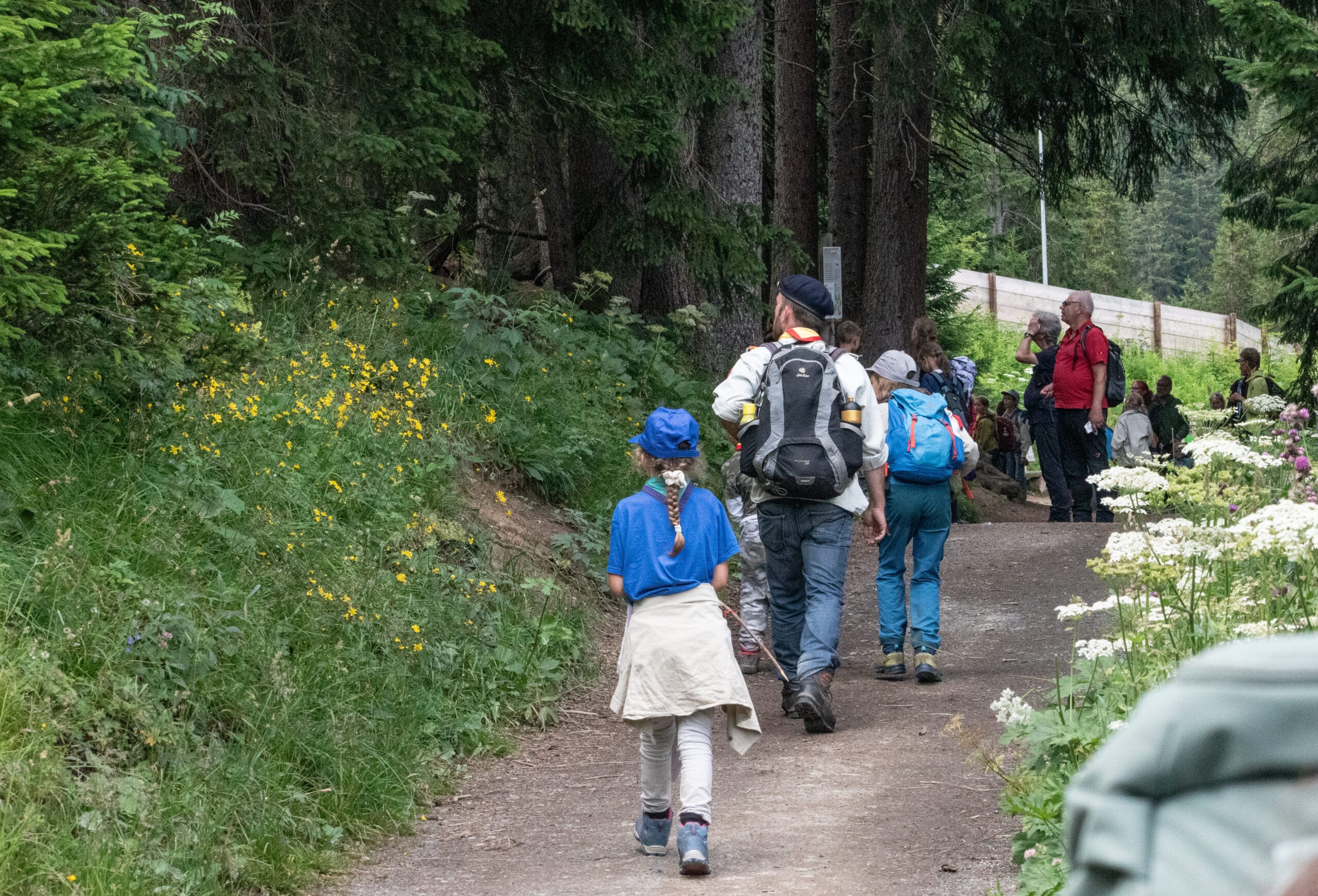 Das Bild zeigt eine Pfadfinder-Gruppe, die einen Waldwanderweg entlanggeht.