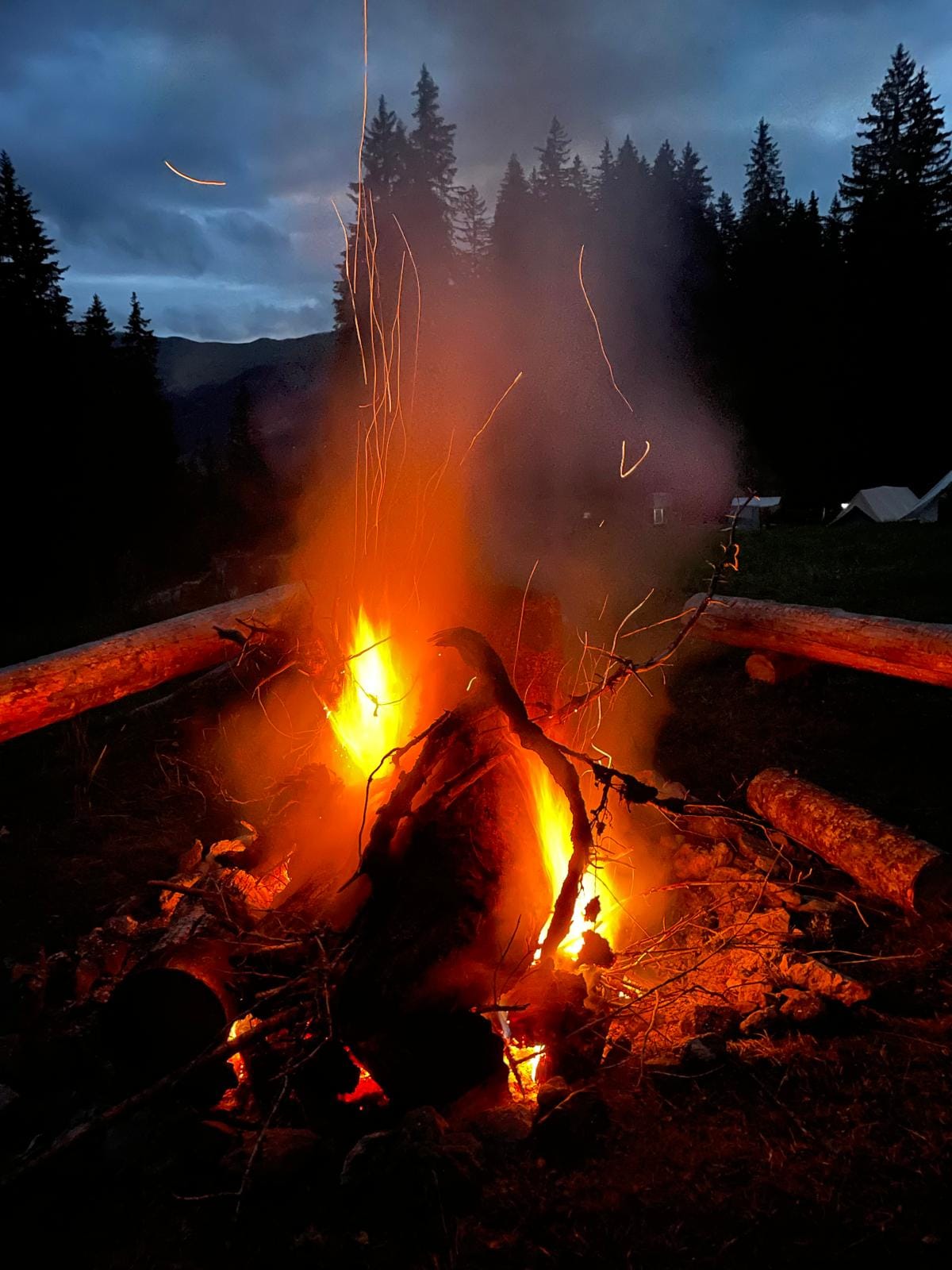 Das Bild zeigt ein Lagerfeuer, dessen hoch auflodernde Flammen den eingedunkelten Wald erhellen.