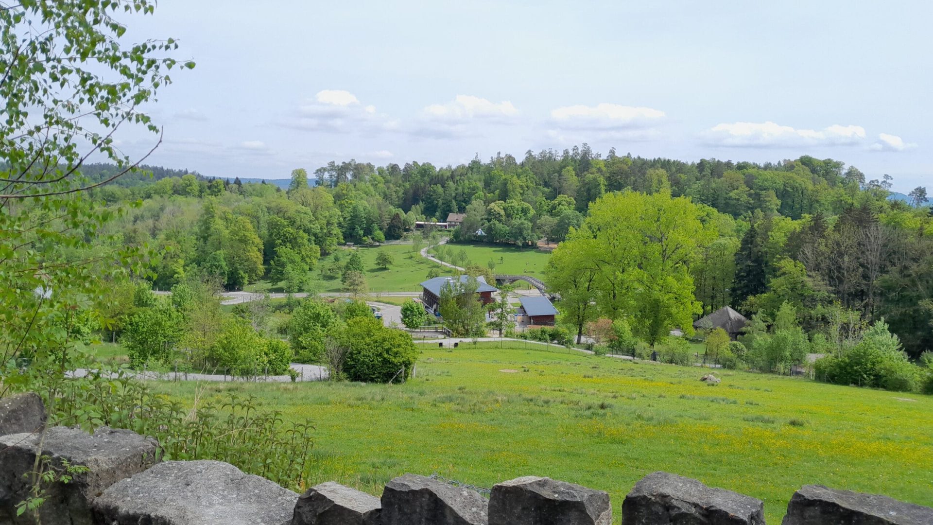 Das Bild gewährt einen schönen Blick über den Wildnispark Langwies.